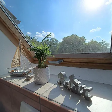 Casa Impex Apartment
